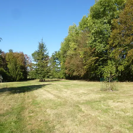 Les Gites De Montinazeau - Free Wi-Fi And Seasonal Solar Heated Swimming Pool Cheniers Exterior photo