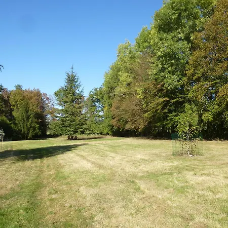 Les Gites De Montinazeau - Free Wi-Fi And Seasonal Solar Heated Swimming Pool Cheniers Exterior photo